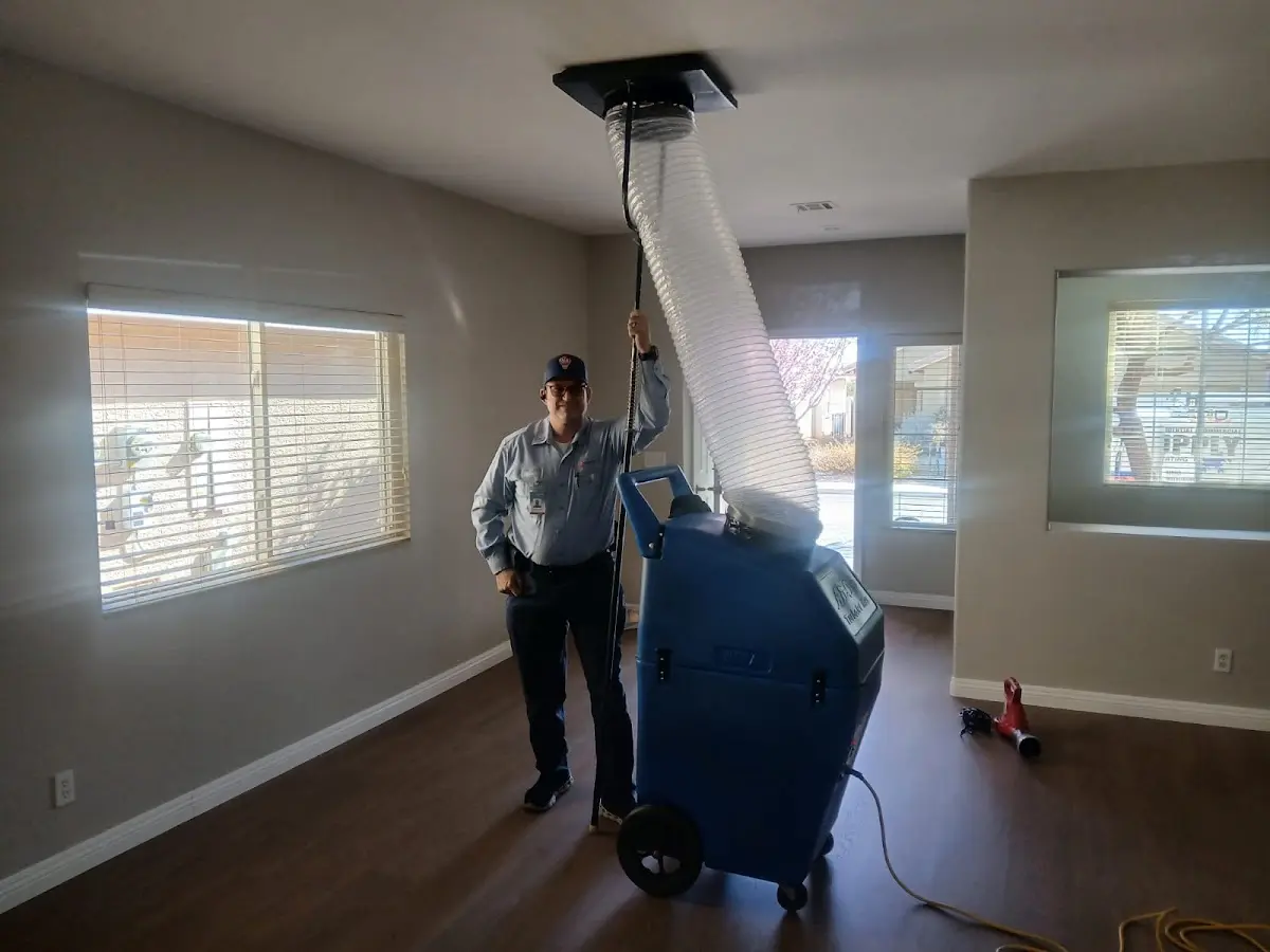 Professional Dryer Vent Cleaning work inside a Alondra Park home